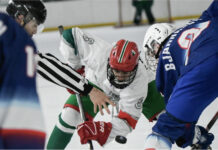 International ice hockey in Mexico
